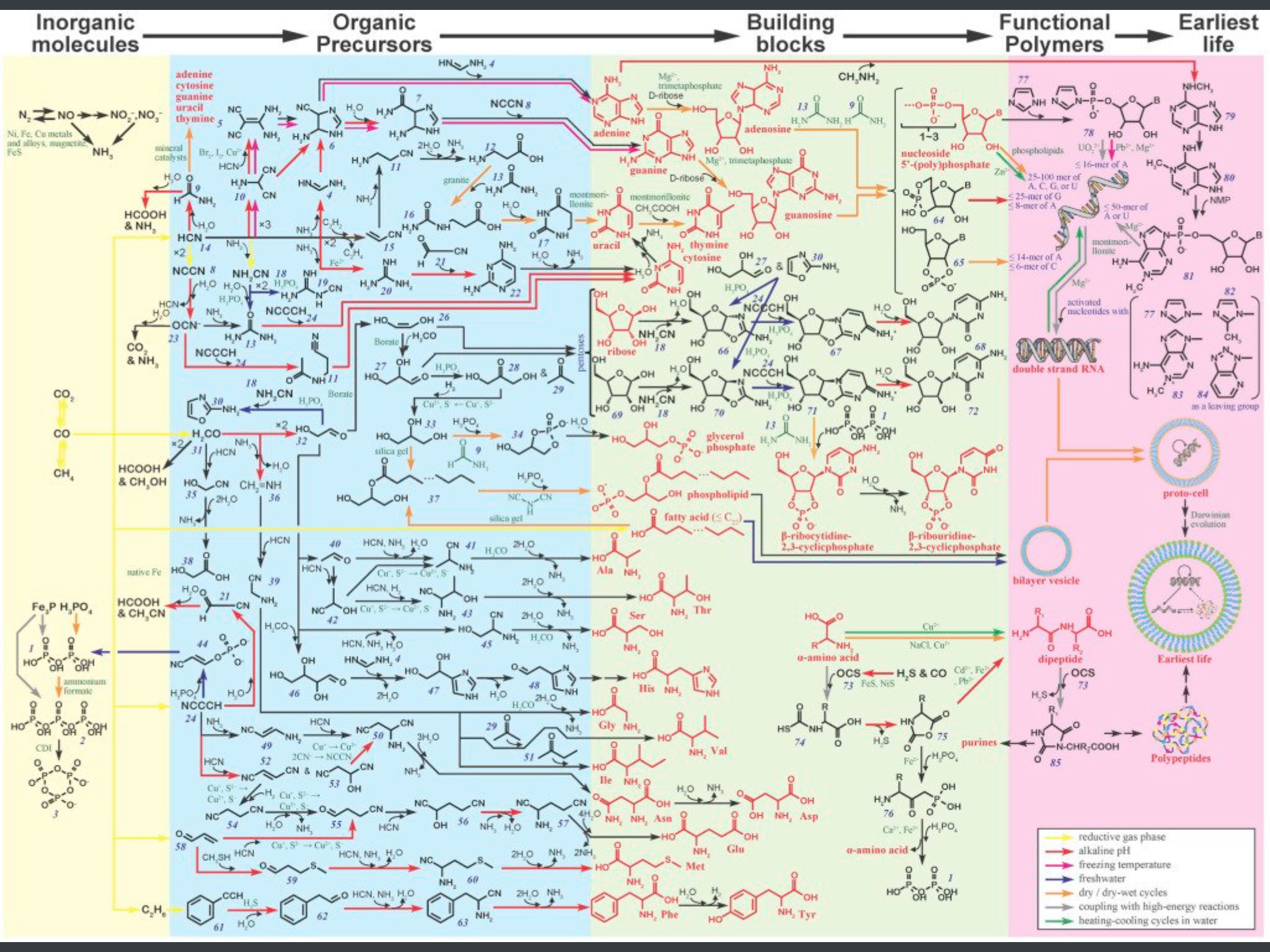 Biomolecular pathway