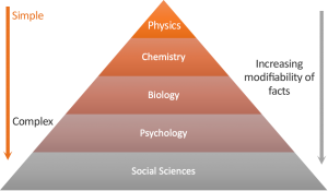 Hierarchy of Sciences