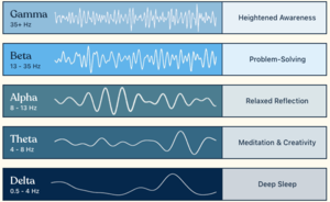 Brainwave states