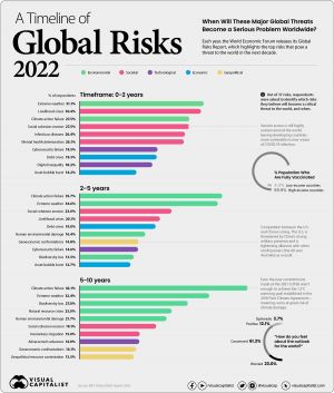 Timeline of global risk