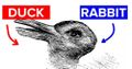 Duck or rabbit?.jpg