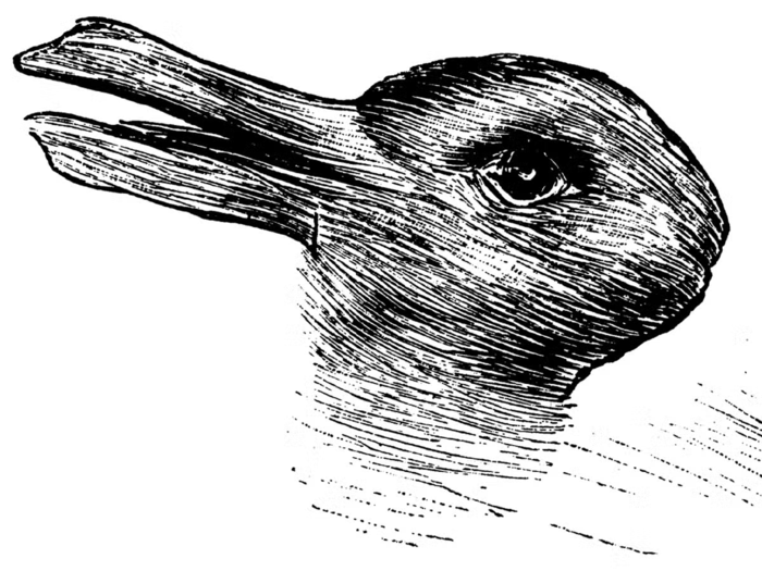 Duck-rabbit explanations.png