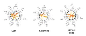 Compare the effects of nitrous oxide, ketamine, and LSD on functional connectivity: