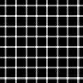 Grid illusion.png