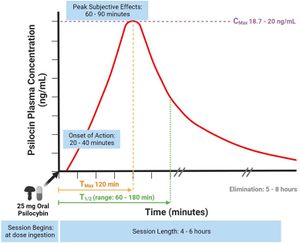 How Long Does Psilocybin Last